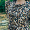 Conjunto Nimbo